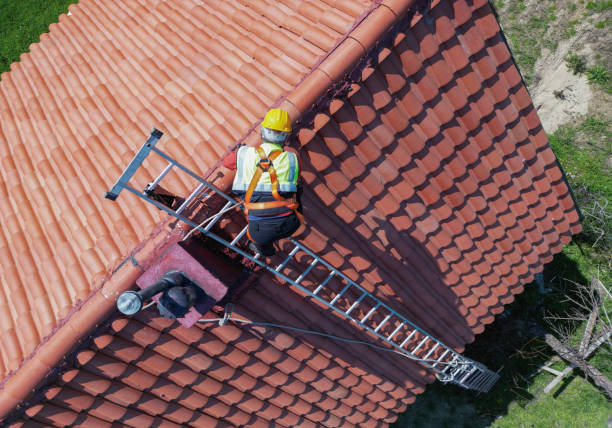 Best Steel Roofing  in Ele, AR
